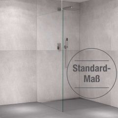 Glas-Duschabtrennung Klarglas